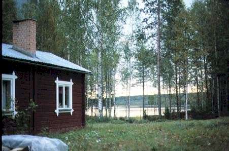 View from the cottage to the lake