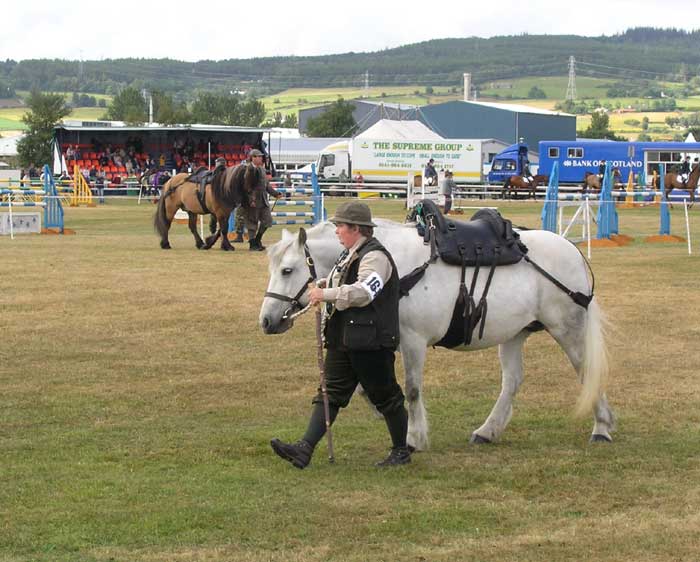 Garrons or carrier ponies