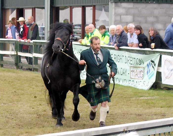 Kilted man and Highland pony